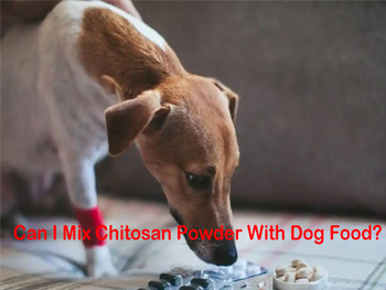 Can I Mix Chitosan Powder With Dog Food?